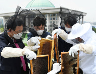 의원들 “꿀 따서 직원 나눠드려요”[포토뉴스]