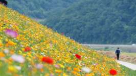 남한강 따라…단양의 어제와 오늘이 흐른다