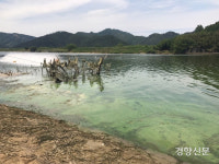 녹색성장은 있고 온실가스 감축목표는 없는 기후위기대응법? [정리뉴스]