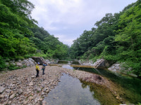 호우 대비 계곡마다 ‘사방댐’ 축조…“관리 안 해 환경 파괴·혈세만 낭비”