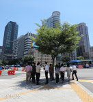 대서 폭염...나무 그늘 아래서[경향포토]