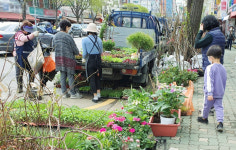 코딱지만 한 땅에 뭘 심지?[밭][텃밭일기①]