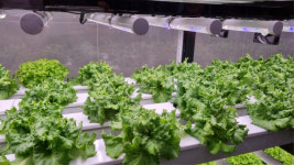 부산 동해남부선 거제해맞이역에 수직농장 ‘레일팜’