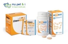  한국엘랑코동물약품, 유럽 프리미엄 펫케어 브랜드 ‘마이 펫 앤 아이(My Pet & I)’ 국내 첫 선