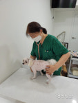 오세훈표 동물복지 ‘우리동네 동물병원’ 15일부터 시작···취약계층 병원비 부담 경감