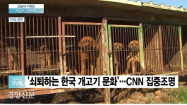 십자가형에서 시작된 개고기 문화…2700년 역사 끝나려나[이기환의 Hi-story]