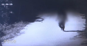 세 번 ‘살인계획’ 10대들 “멋있게 살고싶었다