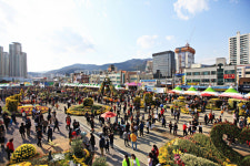 창원시, 27일 막 오르는 마산국화축제…정원 거닐며 가을 만끽