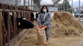 소는 누가 키우나 [밭][사표 쓰고 귀농⑧]