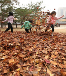 까르르…낙엽 한 줌에도 행복한 아이들[포토뉴스]