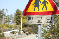 땅끝마을 소나무숲 작은 학교는 무사히 100살이 될 수 있을까