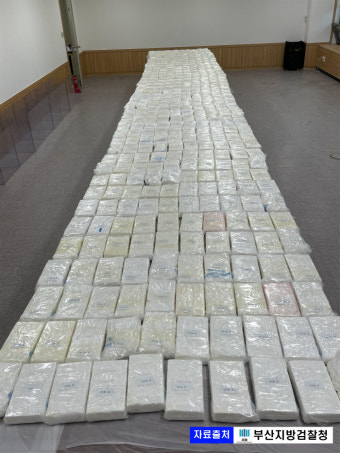 부산서 ‘역대 최대’ 코카인 400 밀수 적발···검, 아보카도 컨테이너서 압수해 전량 소각