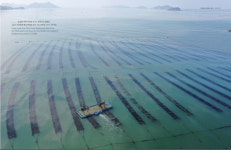 고군산군도 김양식장에서 전주 미나리 농장까지…이주노동자 삶 현장 ‘펭귄장화에 짠물이 밸 때’