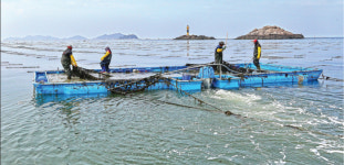 고군산군도 김양식장에서 전주 미나리 농장까지…이주노동자 삶 현장 ‘펭귄장화에 짠물이 밸 때’