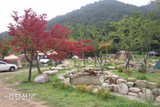 ‘광클’해도 못가던 국립공원 야영장, 내부직원들은 예약없이 이용