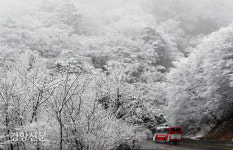 설날 함박눈 쏟아진다···수도권 31일 밤부터 대설주의보