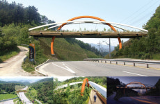 태백 연화산~대조봉 생태탐방로 조성···야생동물 이동 통로 확보