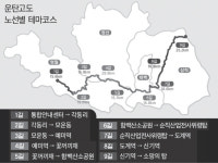 영월서 정선·태백 지나 삼척까지 구름 벗삼아 걸어볼까나