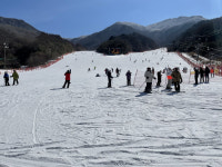 덕유산 리조트 알바생 집단 감염 비상 “초동대처 부실했다 ”