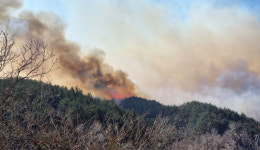 강원도 산불 확산에 동해∼강릉 KTX·무궁화 열차 운행 중단