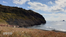 제주도, 도민 4명 중 1명 대상 환경교육 실시…환경교육도시 지정 추진