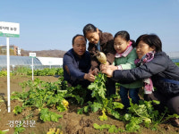 “캠퍼스 안에 내 농장을” 전북대 텃밭 무료 분양