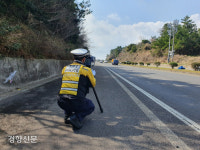 제주서 60km 제한도로를 173km로 질주…초과속 렌터카들 무더기 덜미