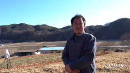 ①그 많던 꿀벌은 어디로 갔을까…2022년 꿀벌 실종 사건의 전말[꿀벌기획]