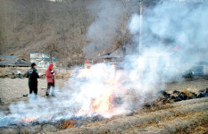 한국 산불의 주원인은 사람의 실수···해외 같은 자연발화는 거의 없다