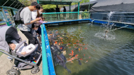 하천 넓힌다며 쫓아낸 국내 유일 ‘물고기 마을’…전국서 모시기 경쟁 ‘러브콜’[현장에서]
