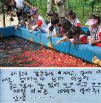 연간 30만명 찾는 ‘물고기마을’ 결국 완주 떠나나