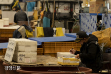 [르포]“기름값 높아 인건비도 못 건져요” 조업포기 속출, 줄 묶인 어선 적막한 항구