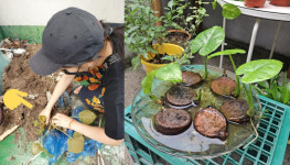 버려진 식물 구조해 돌본 뒤 새 가족에 분양? 공덕동 식물유치원에서 합니다