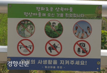 ‘자연인 문재인’ 기다리는 평산마을 “마을회관에서 마주치면 막걸리나 한 잔”[현장에서]