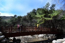 원주 ‘치악산 둘레버스’ 운행 개시···꽃밭머리길 투어, 구룡길 투어 등 4개 코스 운영