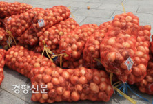 21세기 선거인데···대전선관위, 유권자에 양파·김 뿌린 시의원 예비후보 고발[6.1지방선거]