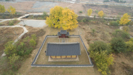 임진강 두루미 도래지·세종 임난수 은행나무 천연기념물 지정