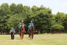 폐쇄됐던 서울숲 ‘뚝섬승마장’, 3일간 임시 개방···경찰기마대와 승마 체험도