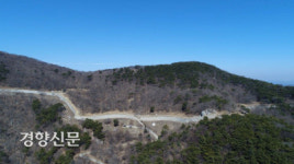 가림성 사랑나무 너머로 읽은 백제 독립운동사[이기환의 흔적의 역사]