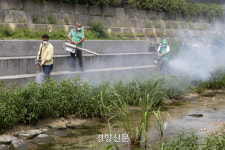‘러브버그’는 가라[포토뉴스]