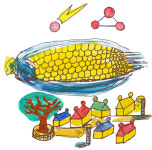 [임의진의 시골편지] 메리지아레