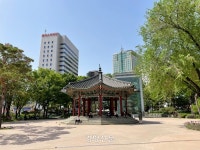 한국 최초 도시공원이 노인문화 중심지가 되기까지...‘탑골공원’의 어제와 오늘