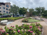 연잎 물결 만석공원·고즈넉한 노송공원·여름꽃 만개 탑동시민농장…수원, 더위 잊는 여름 명소 10선