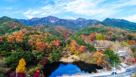 국립공원 지정 추진하는 팔공산에 케이블카 추가로 놓겠다는 대구시…환경단체 “생태 교란 불가피”