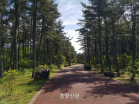 “벌 조심하세요” 제주 자연휴양림서 어린이 벌쏘임 사고