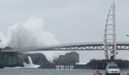 주차장 뒤덮은 돌과 나무···제주 파손·침수에 1만가구 정전[태풍 힌남노]