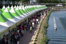 다들 대면 축제인데···다음 달 ‘보은 대추축제’는 왜 비대면인가요