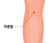 머리·허리 아플 땐 ‘오금’ 가운데를 꾹