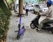 인도 한가운데 ‘떡하니’···‘민폐’ 킥보드를 어찌할꼬