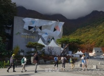 네이버 검색 결과 사진 5